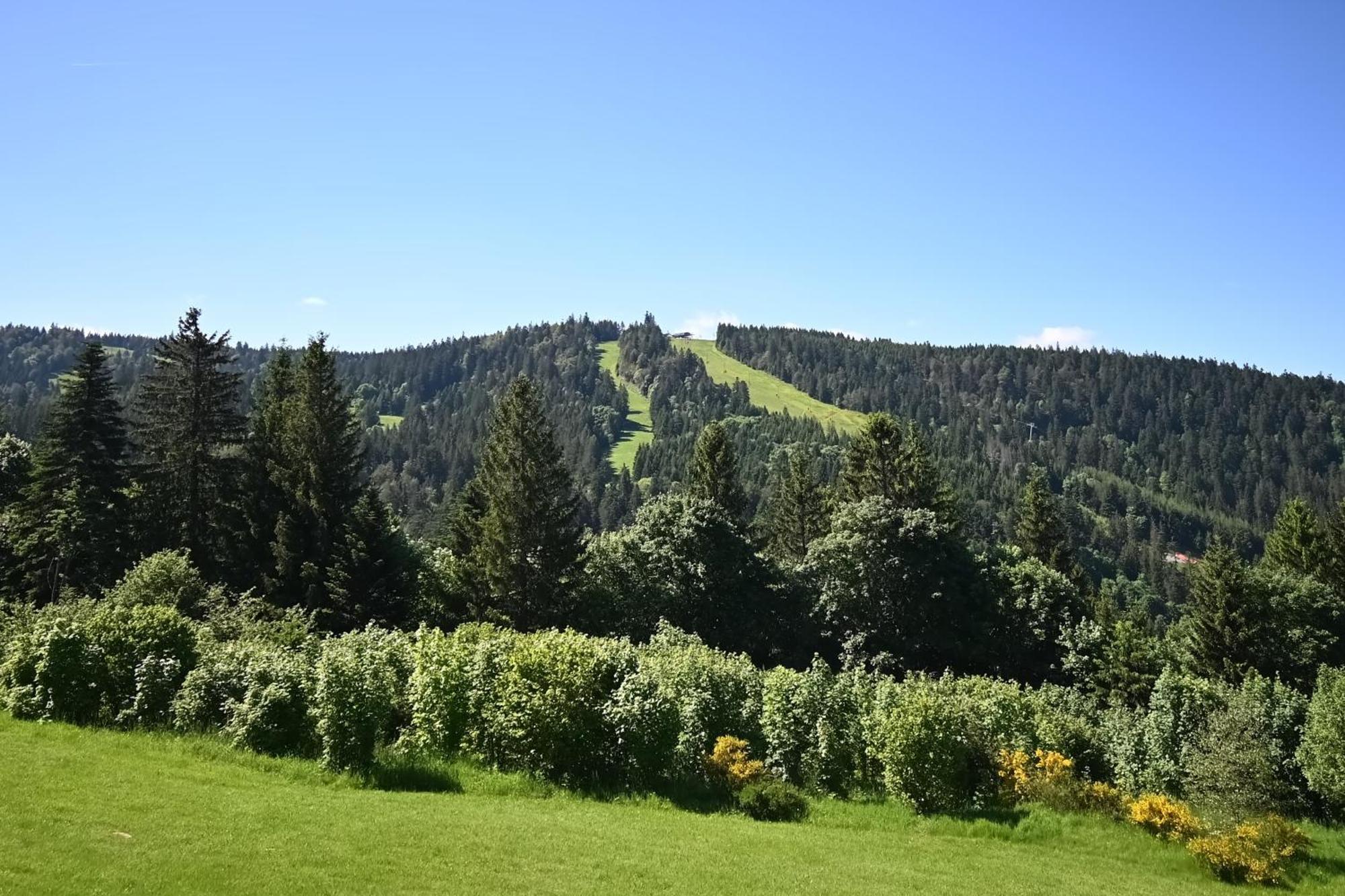 Apartament Le Nid Des Vosges - Appt Vue Montagne Gérardmer Zewnętrze zdjęcie